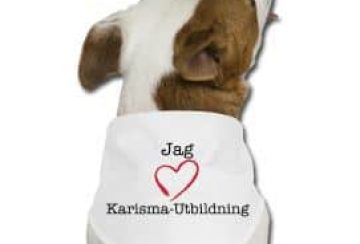 En snygg Karisma-scarf till din hund!