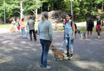 Kurs Kynologutbildning