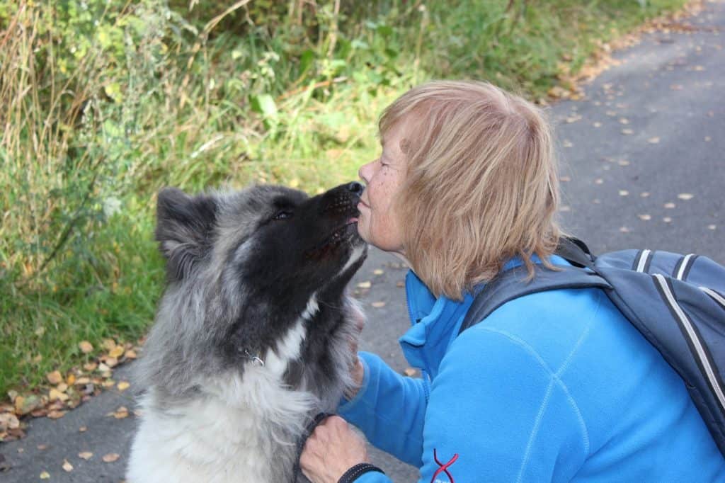 Hundkurser Relation före prestation