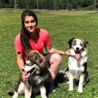 Sara Viforr Specialiserad kynolog/hundpsykolog