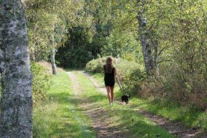 Dogwalker