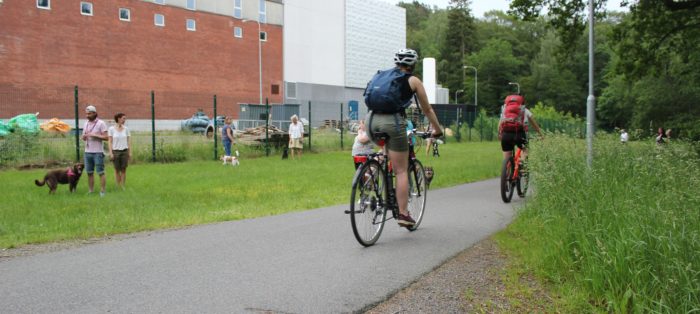 Hundkurs, vardagsträning i repris