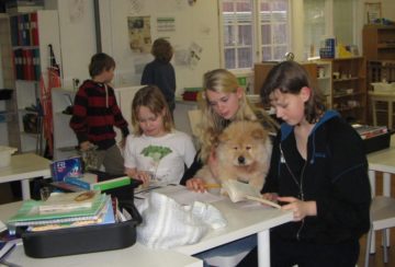 Pej Ling, en chowchow med stor personlighet!