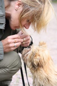 Hundkurser i Göteborg med relationen i fokus