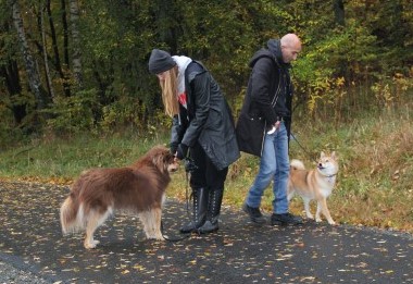 Hundmöteskurs i Mölndal Göteborg