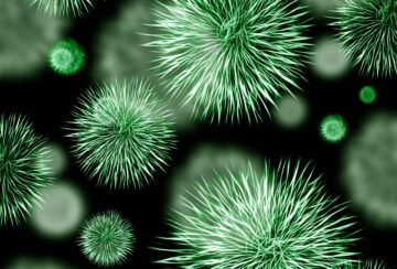 bacteria-426997_960_720 bakteria