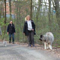 Karismainstruktör-1-1024x398