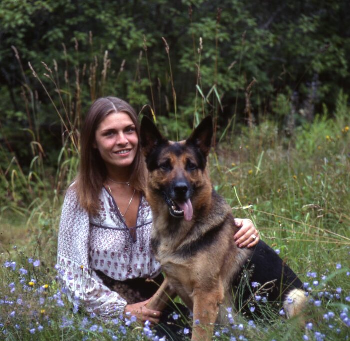 Dogwalker/hundrastare Onlineutbildning