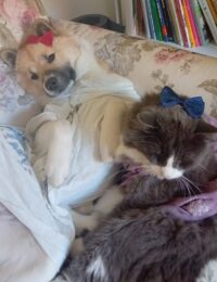 IMG-20251020-WA0000 - kopia IMG-20251020-WA0000 - kopia