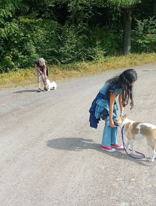 På valpkurs