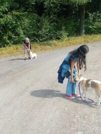På valpkurs