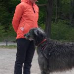 Lugn-hundträning-göteborg