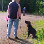 Lydnadsträning-hund-göteborg