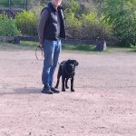 valpkurs-hundträning-göteborg